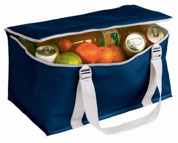 Cooler bag