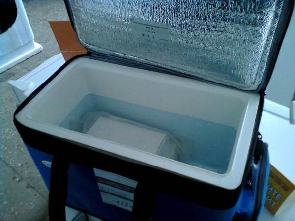  Interior of the cooler bag