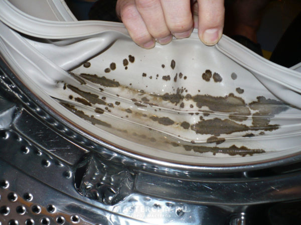  Mold in the washing machine