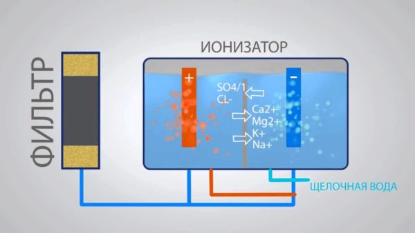  The scheme of the ionizer for water