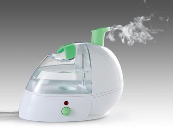  Steam humidifier with ionizer