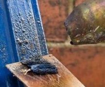  Hair Coat Removal