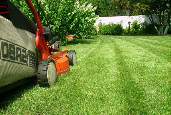  Perfect lawn with lawn mower