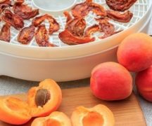  Choose a dehydrator