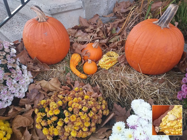  Sample photo 3