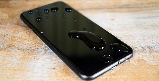  Oleophobic coating